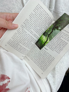 Книжный червь 📚 