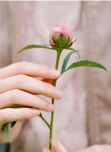 Знаменательные даты 