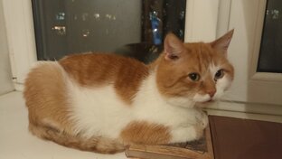 Внутренний мир писателя 