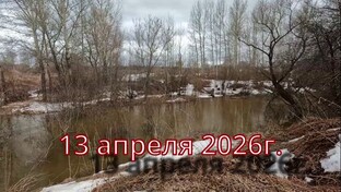 Лето 2026г.