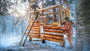 ДВУХЭТАЖНЫЙ ЛЕСНОЙ ДОМ