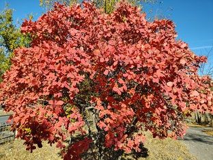 Фоторепортажи