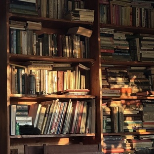 истории с полей