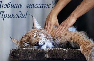 Силуэт массаж