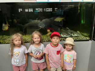 Отпуск в Самару к свекрови)