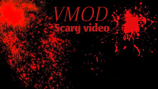 Vmod