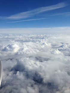 Жизнь замечательных людей