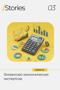 Финансово-экономическая экспертиза