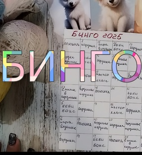 Бинго 2025