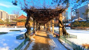 Необходимые фразы и слова на корейском языке для путешествия