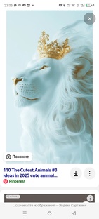 Мои Авторские творения🤗☺️