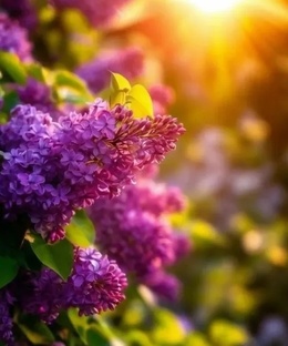 Мои Четверостишия 2