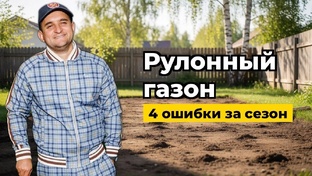 Газоны
