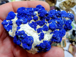 Картинки с выставки