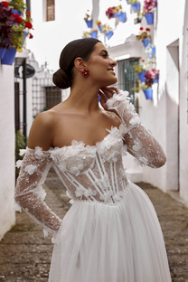 Коллекции и модели