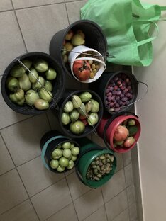 А мы на даче!