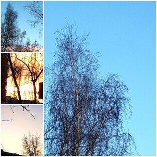 УТРА ДОБРЫЕ:)