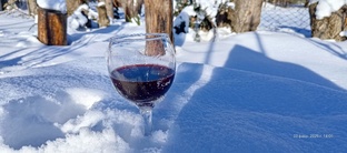 «Выморозок»