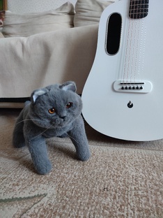 Музыкальные ролики