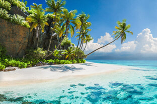 Если нет больше выбора