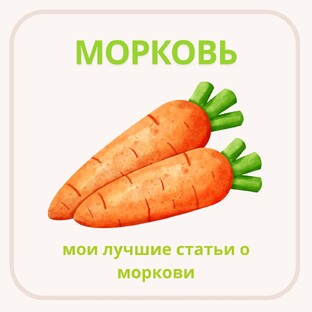 Морковь
