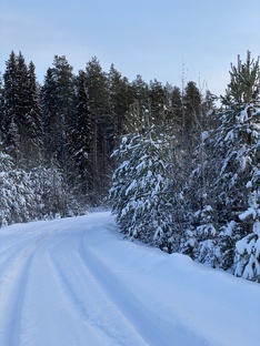 Прогноз на 2025 год