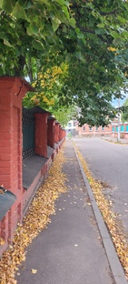 Что посмотреть в Костроме осенью
