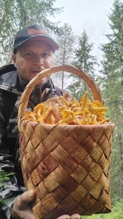 Сбор грибов / тихая охота 