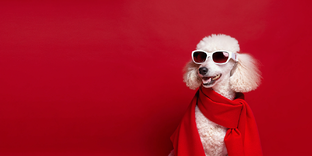 Чек-листы и Памятки