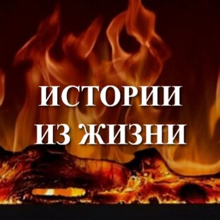 Истории из жизни
