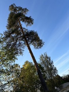 КУДА СХОДИТЬ-СЪЕЗДИТЬ