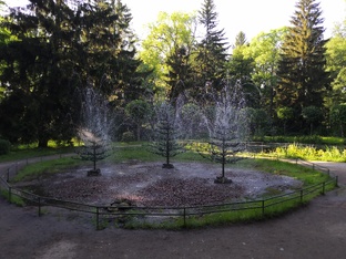 Петергоф 2024