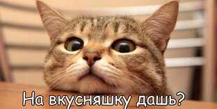 Приколы