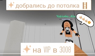 3008