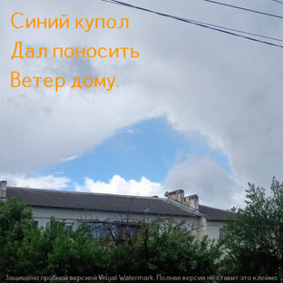 Май 2024, хайку - верлибры