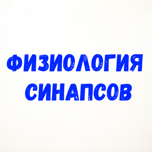 Физиология синапсов.