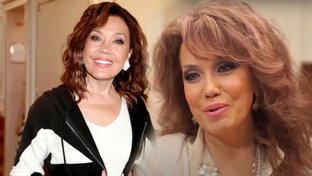 Звёзды, которые снова влюбились