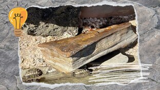 Исторические нестыковки