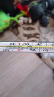 О здоровье ребенка