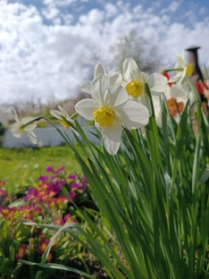 Во саду ли, в огороде