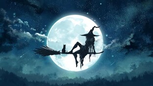 Виды маг. воздействий