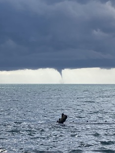 Тайны города Сочи.