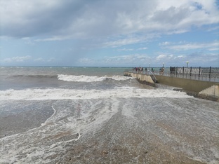 Публицистика