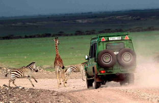 Путешествия и хобби