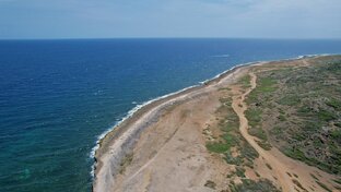 Стихи: "Море и океан".