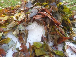 При задержании