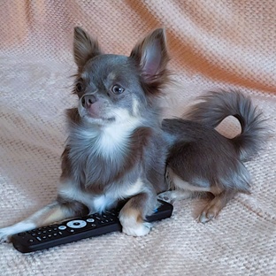 Кинорекомендации