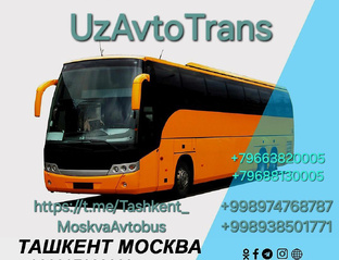 Ташкент Москва автобус прямой рейс 