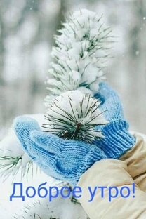 Доброе утро