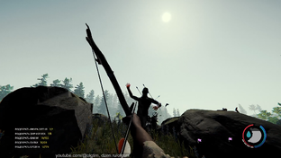 The Forest
